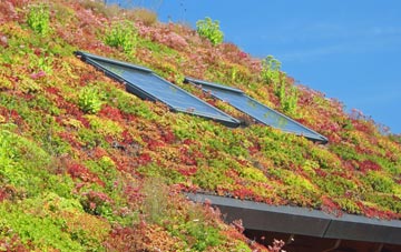 Brundish Street living roof systems